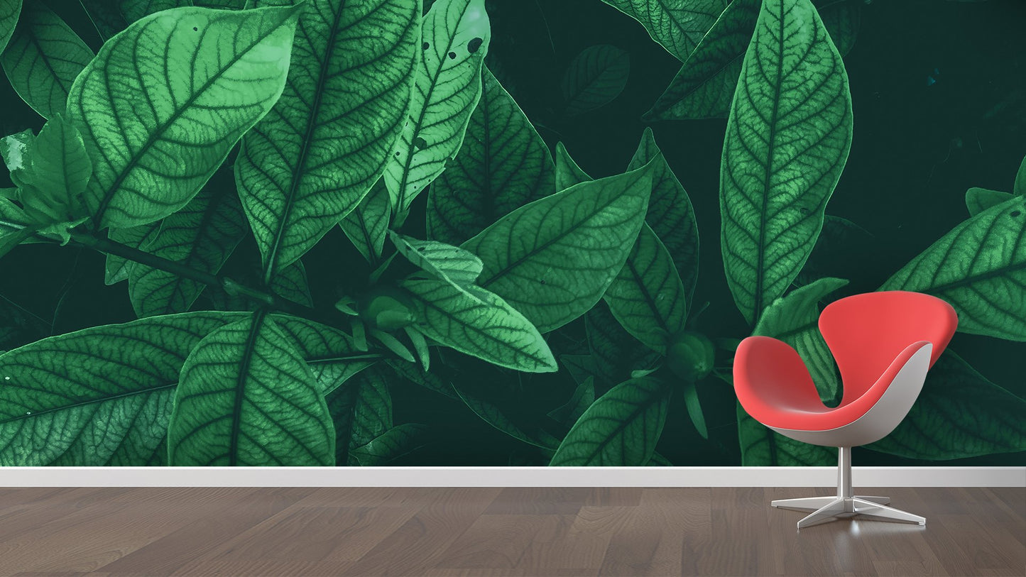Nature Wallpaper