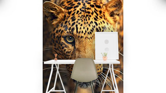 Animals Wallpaper
