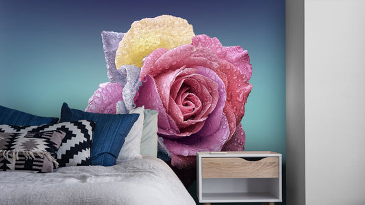 Roses Flower Wallpaper