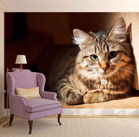 Animals Wallpaper