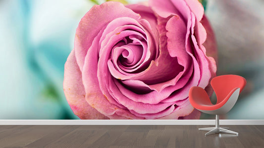 Roses Flower Wallpaper