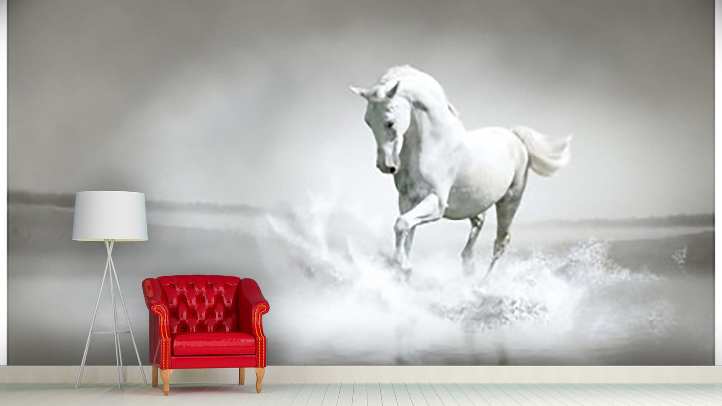 Animals Wallpaper