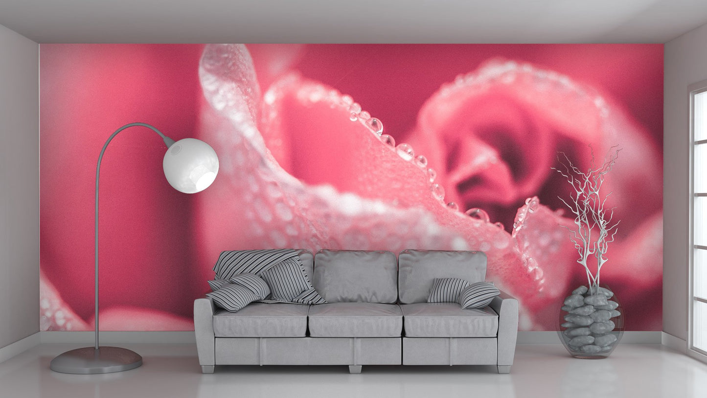 Roses Flower Wallpaper