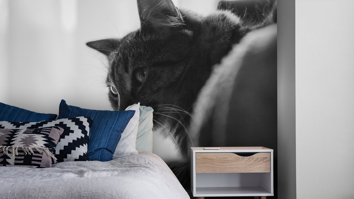 Black & White Wallpaper