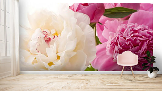 Peonies Flower Wallpaper