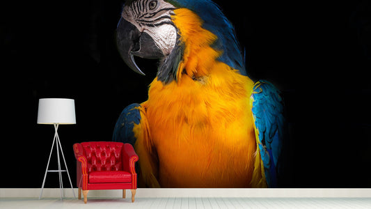 Animals Wallpaper