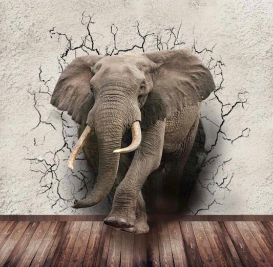 Animals Wallpaper