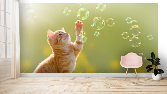 Animals Wallpaper