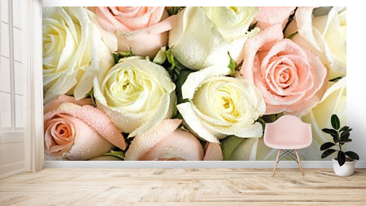 Roses Flower Wallpaper