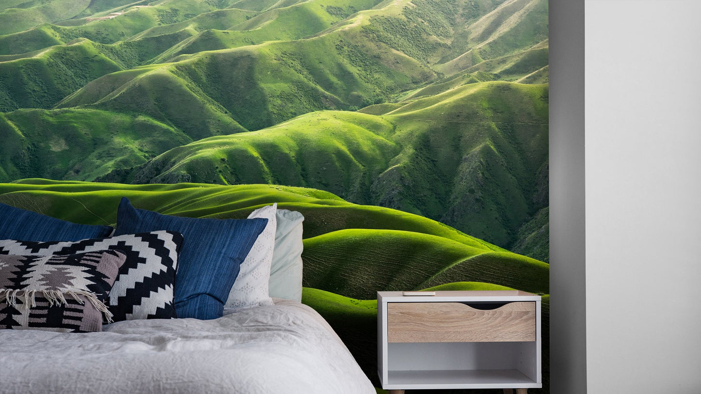Nature Wallpaper