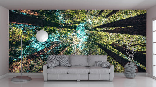 Nature Wallpaper
