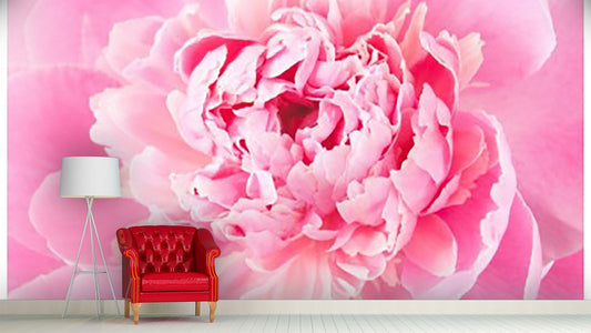 Peonies Flower Wallpaper