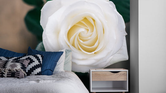 Roses Flower Wallpaper