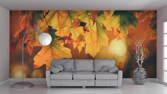 Nature Wallpaper