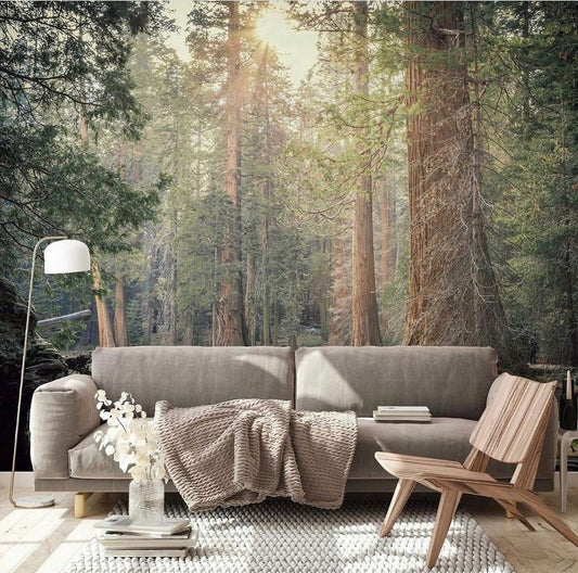 Nature Wallpaper