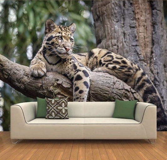 Animals Wallpaper