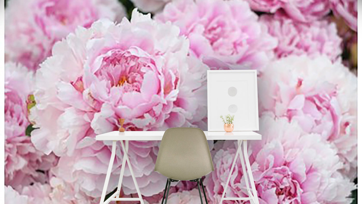 Peonies Flower Wallpaper