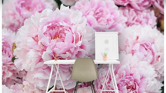 Peonies Flower Wallpaper