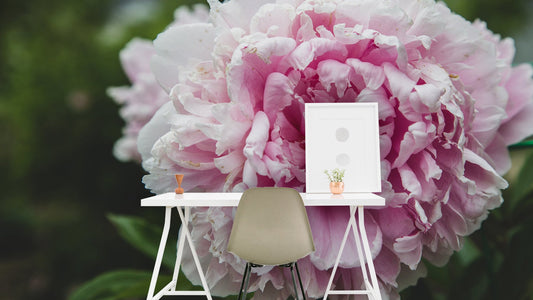 Peonies Flower Wallpaper