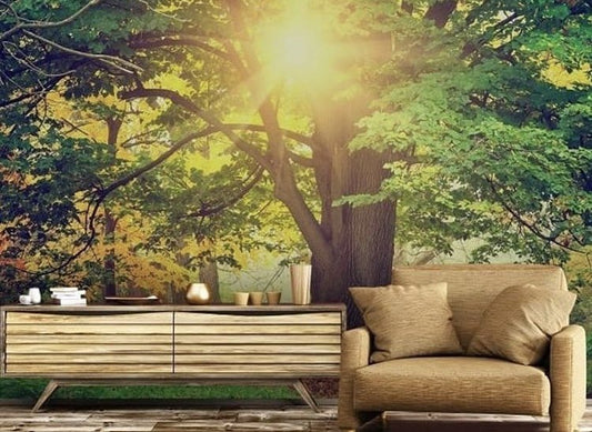 Nature Wallpaper