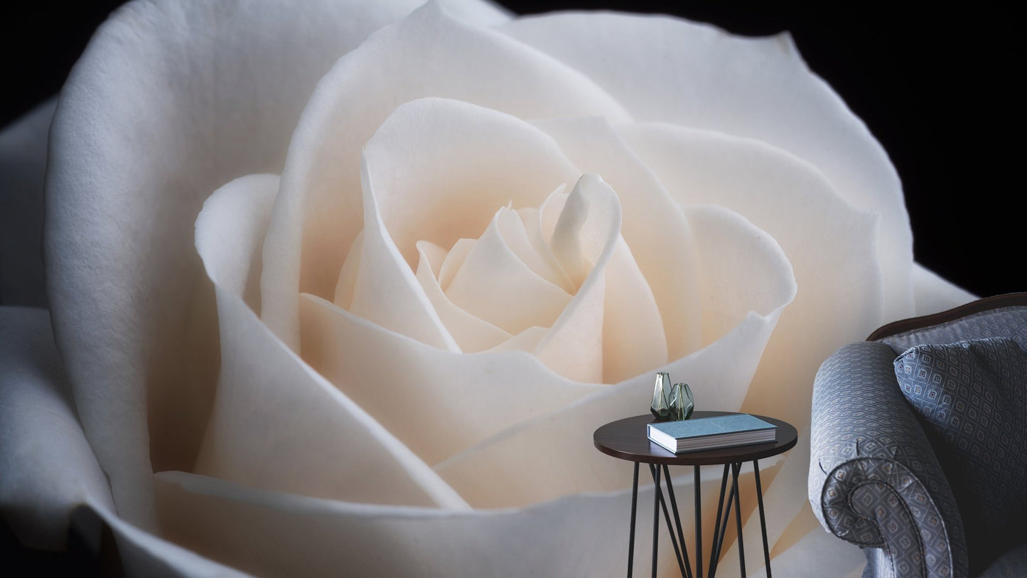 Roses Flower Wallpaper