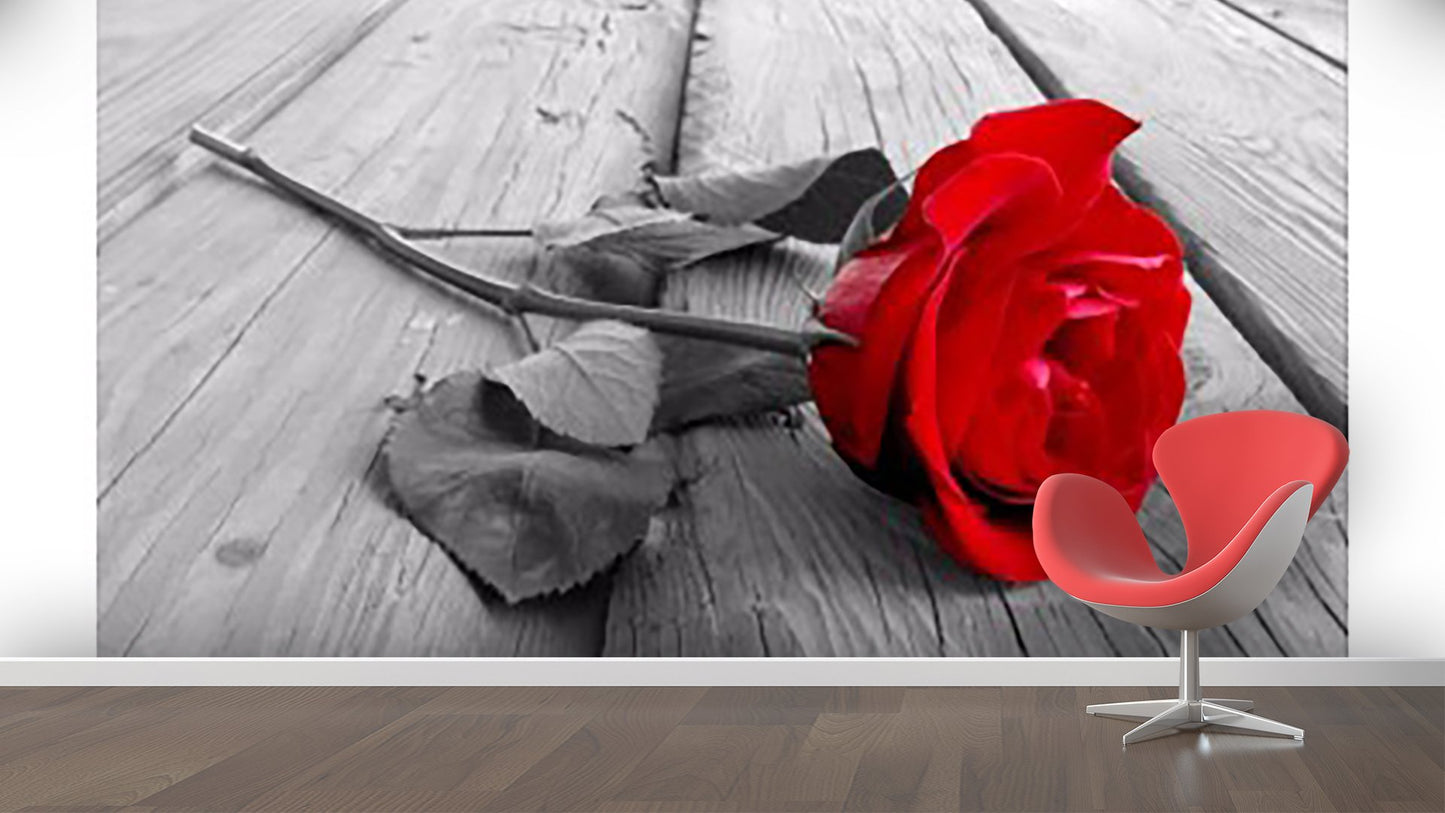 Black & White Wallpaper