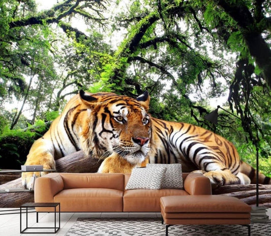 Animals Wallpaper